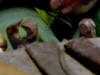 Les objets de la vie - {channelnamelong} (Replayguide.fr)