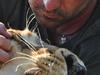Kevin et les lions (2/2) - {channelnamelong} (Replayguide.fr)