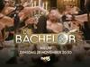 The Bachelor (NL versie)