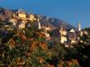 Korsika - {channelnamelong} (Replayguide.fr)