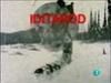 El hombre y la Tierra - Iditarod, 1000 millas sobre hielo (I) - {channelnamelong} (TelealaCarta.es)