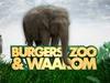 Burgers' Zoo En Waarom gemist - {channelnamelong} (Gemistgemist.nl)