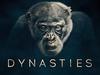 Dynasties - {channelnamelong} (Youriplayer.co.uk)