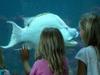 Das größte Aquarium Österreichs - Das Wiener Haus des Meeres - {channelnamelong} (TelealaCarta.es)