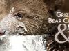 Grizzly Bear Cubs and Me - {channelnamelong} (Youriplayer.co.uk)