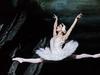 The Royal Ballet: Swan Lake - {channelnamelong} (Youriplayer.co.uk)