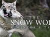 The Snow Wolf: A Winter's Tale - {channelnamelong} (Youriplayer.co.uk)