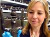 The Celts: Blood, Iron and Sacrifice with AliceRoberts and Neil Oliver... - {channelnamelong} (Youriplayer.co.uk)