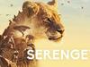 Serengeti - {channelnamelong} (Youriplayer.co.uk)