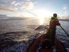Rettung der Wale - Rettung der Meere - {channelnamelong} (Youriplayer.co.uk)