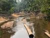 SOS Amazonas - Apokalypse im Regenwald - {channelnamelong} (TelealaCarta.es)