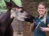 London Zoo: An Extraordinary Year - {channelnamelong} (Youriplayer.co.uk)