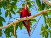 Wildes Peru: Am Oberlauf des Amazonas