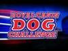Royal Canin Dog Challenge gemist - {channelnamelong} (Gemistgemist.nl)