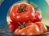 Genuss mit Beigeschmack - Tomaten - {channelnamelong} (Super Mediathek)