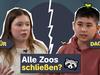 Zoos abschaffen – ja oder nein?! - {channelnamelong} (Super Mediathek)