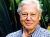 Gorillas Revisited with Sir David Attenborough - {channelnamelong} (Youriplayer.co.uk)