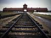 Holocaust - {channelnamelong} (Youriplayer.co.uk)