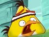 Angry Birds - {channelnamelong} (Replayguide.fr)