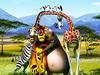 Madagascar 3: Europe's Most Wanted - {channelnamelong} (Youriplayer.co.uk)