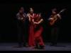 Die lange Flamenco-Nacht - {channelnamelong} (Super Mediathek)