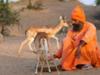 Rajasthan, l'héritage des maharajahs - {channelnamelong} (Replayguide.fr)