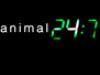Animal 24 - {channelnamelong} (Youriplayer.co.uk)